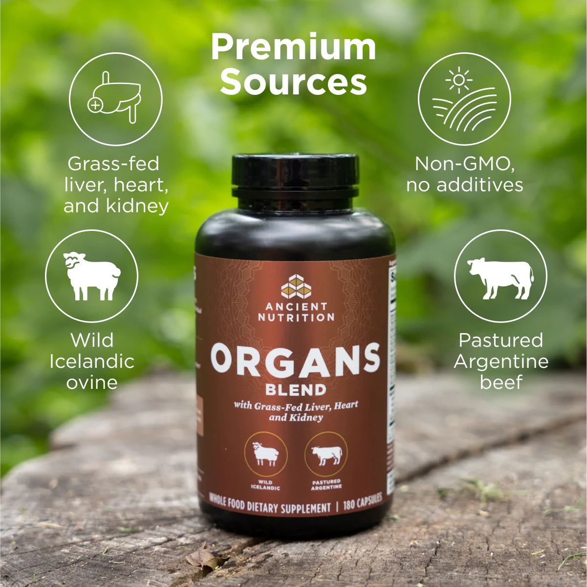 Organs Blend
