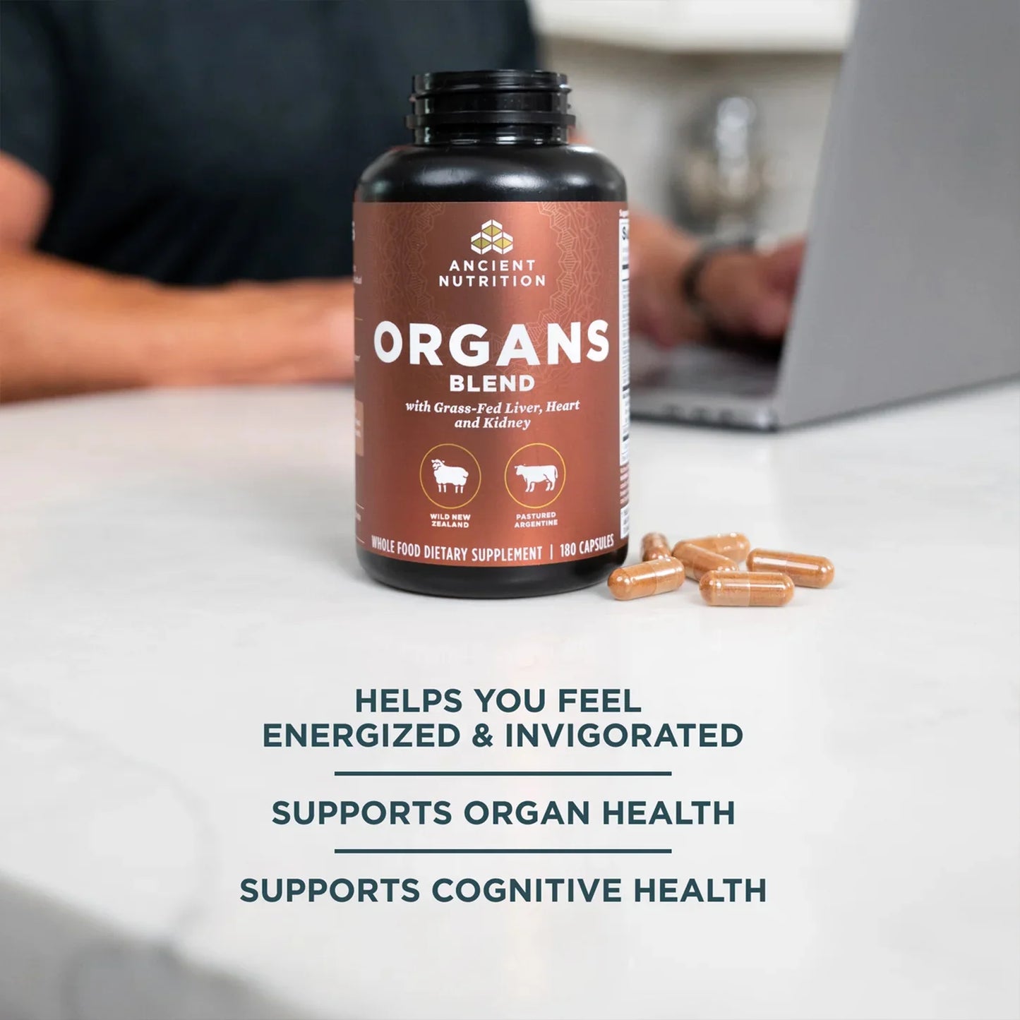 Organs Blend