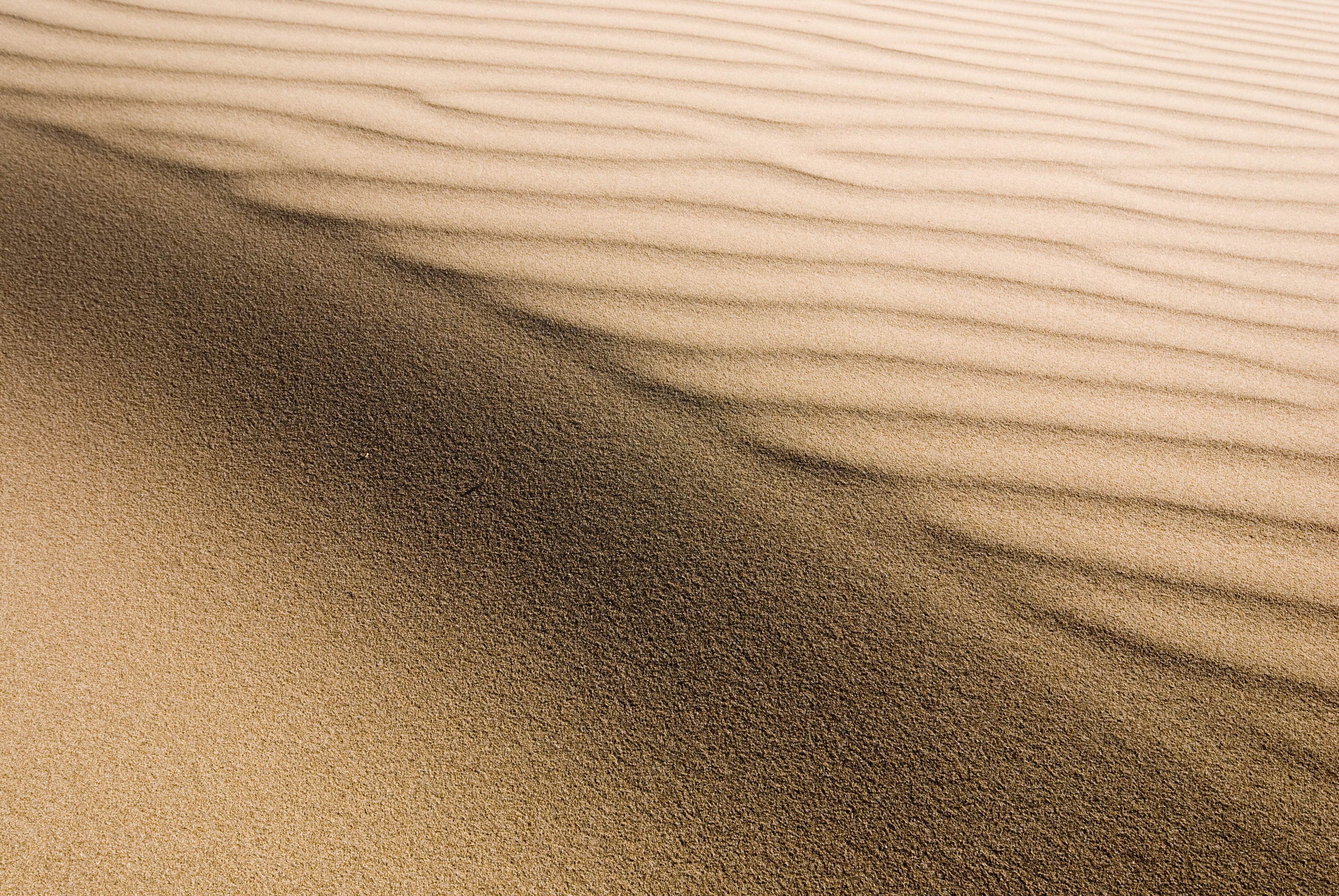 Sand waves